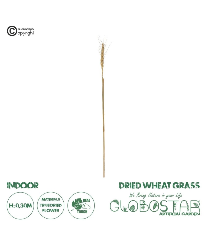GloboStar® Artificial Garden REAL DRIED WHEAT GRASS 21488 Τεχνητό Διακοσμητικό Κλαδί Σιταριού Y30cm